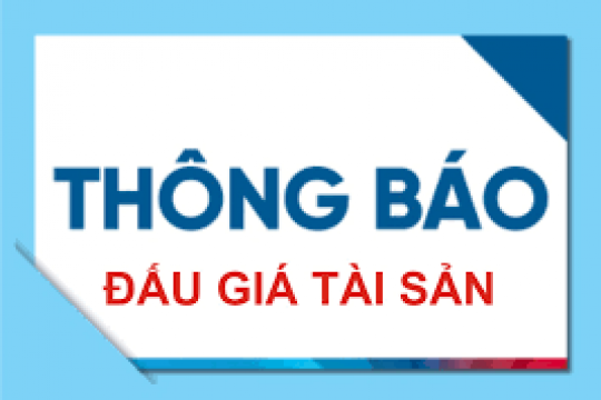 Thông báo đấu giá tài sản (Quyền sử dụng đất và nhà)