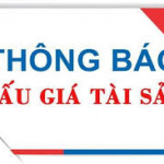Thông báo đấu giá