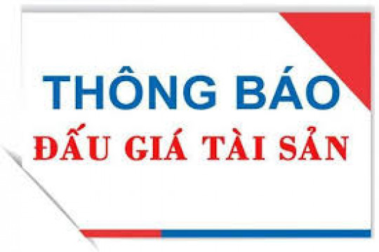 Thông báo đấu giá